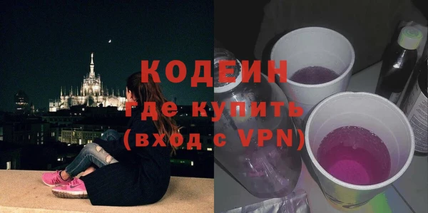 apvp Гусев