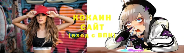 МДПВ Дмитровск