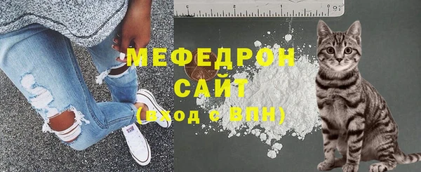 spice Дмитриев