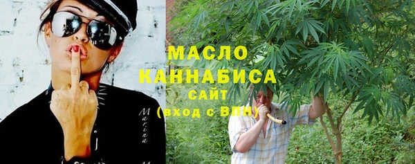spice Дмитриев